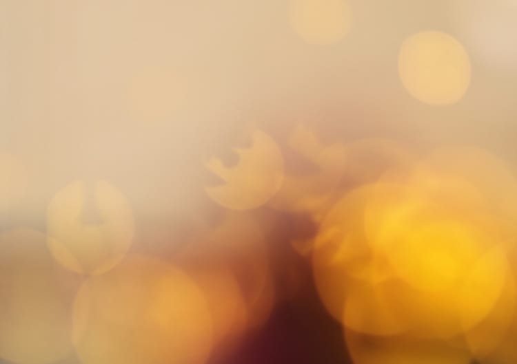 Trust Works #6: How Camplight Cultivates a Culture of Freedom, Transparency, and Evolution